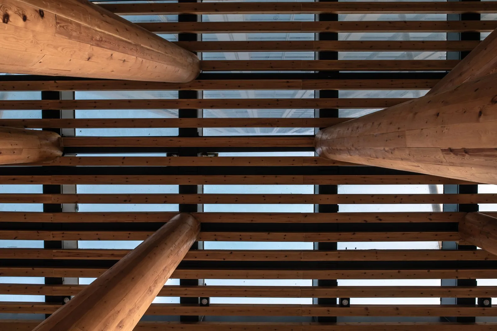 Oak, brushed and oiled