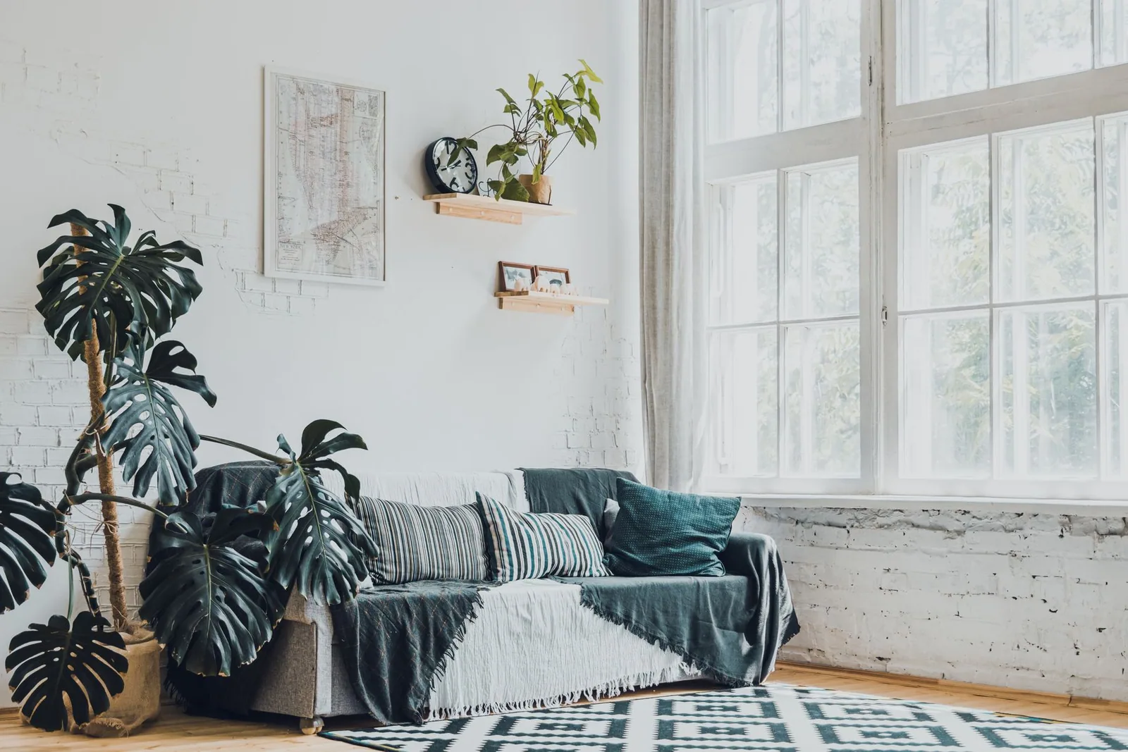A living room with plants and a teal sofa