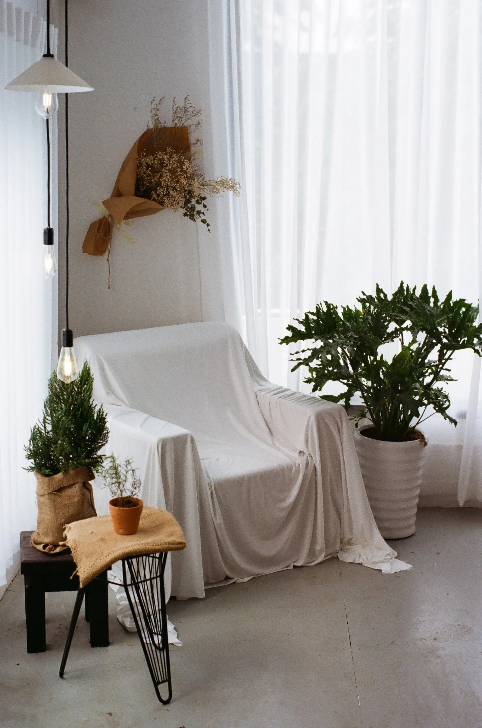 A corner of a living room with plants